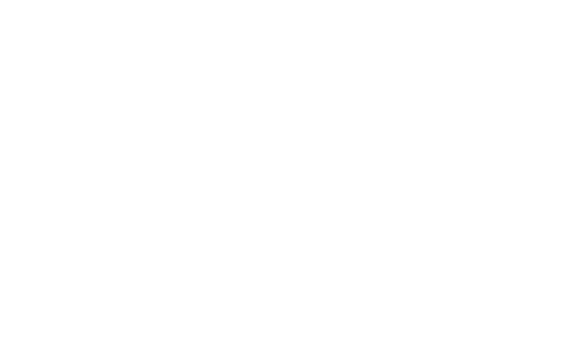 Velux